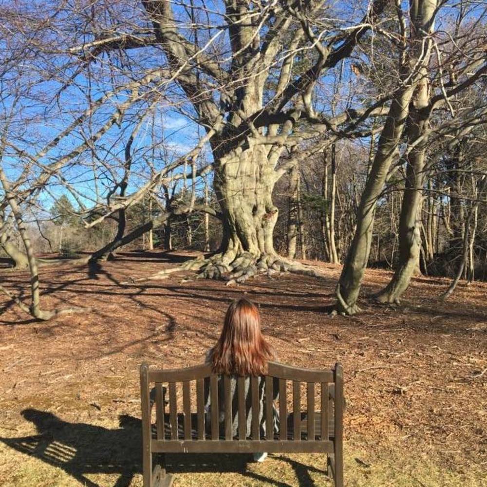 Meet your Posher, Eftiola